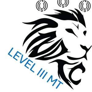 Magnetic Testing Level 3 Constantia Kloof