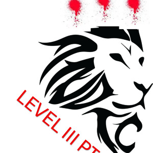 Penetrant Testing Level 3 Constantia Kloof