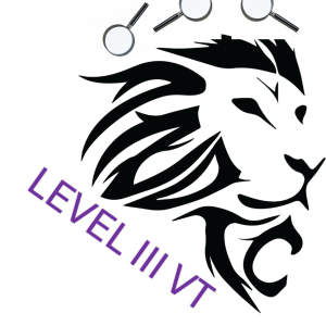 Visual Testing Level 3 Constantia Kloof