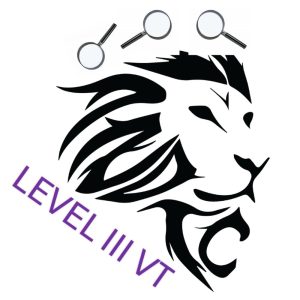 Visual Testing Level 3 Constantia Kloof